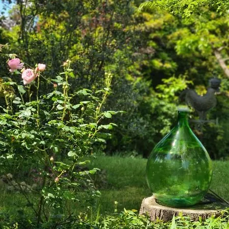 La Maison Deux * Albinea
