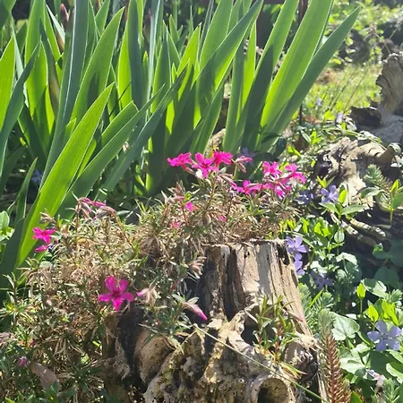 Frühstückspension La Maison Deux 4*