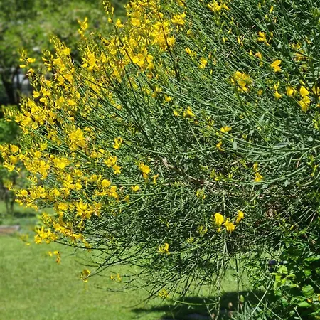 Frühstückspension La Maison Deux Albinea
