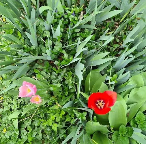 B&B La Maison Deux 4*