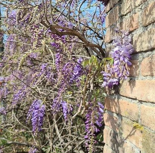 La Maison Deux 4* Albinea