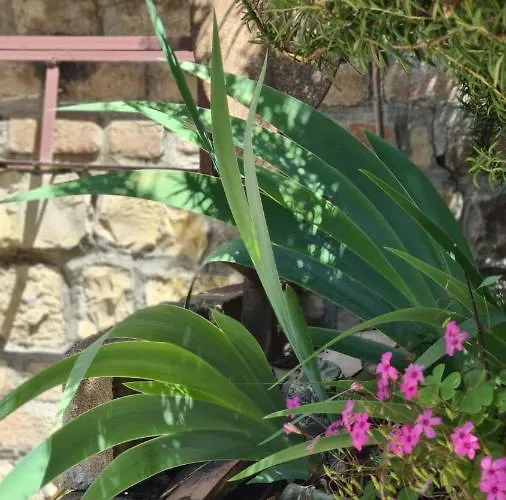 La Maison Deux Albinea