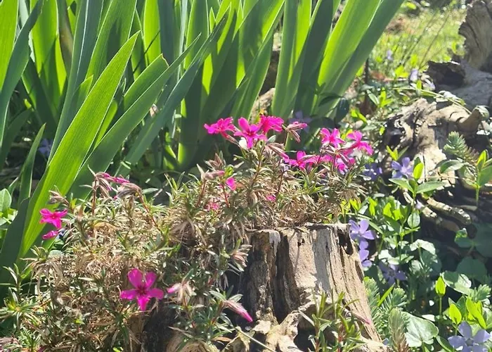 Bed & Breakfast La Maison Deux 4*