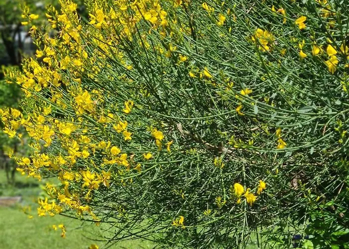 B&B La Maison Deux Albinea